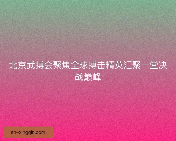 北京武搏会聚焦全球搏击精英汇聚一堂决战巅峰