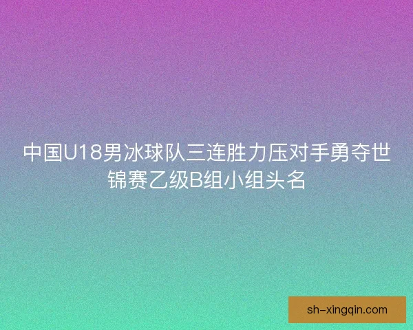 中国U18男冰球队三连胜力压对手勇夺世锦赛乙级B组小组头名 中国U18男冰球队三连胜力压对手勇夺世锦赛乙级B组小组头名